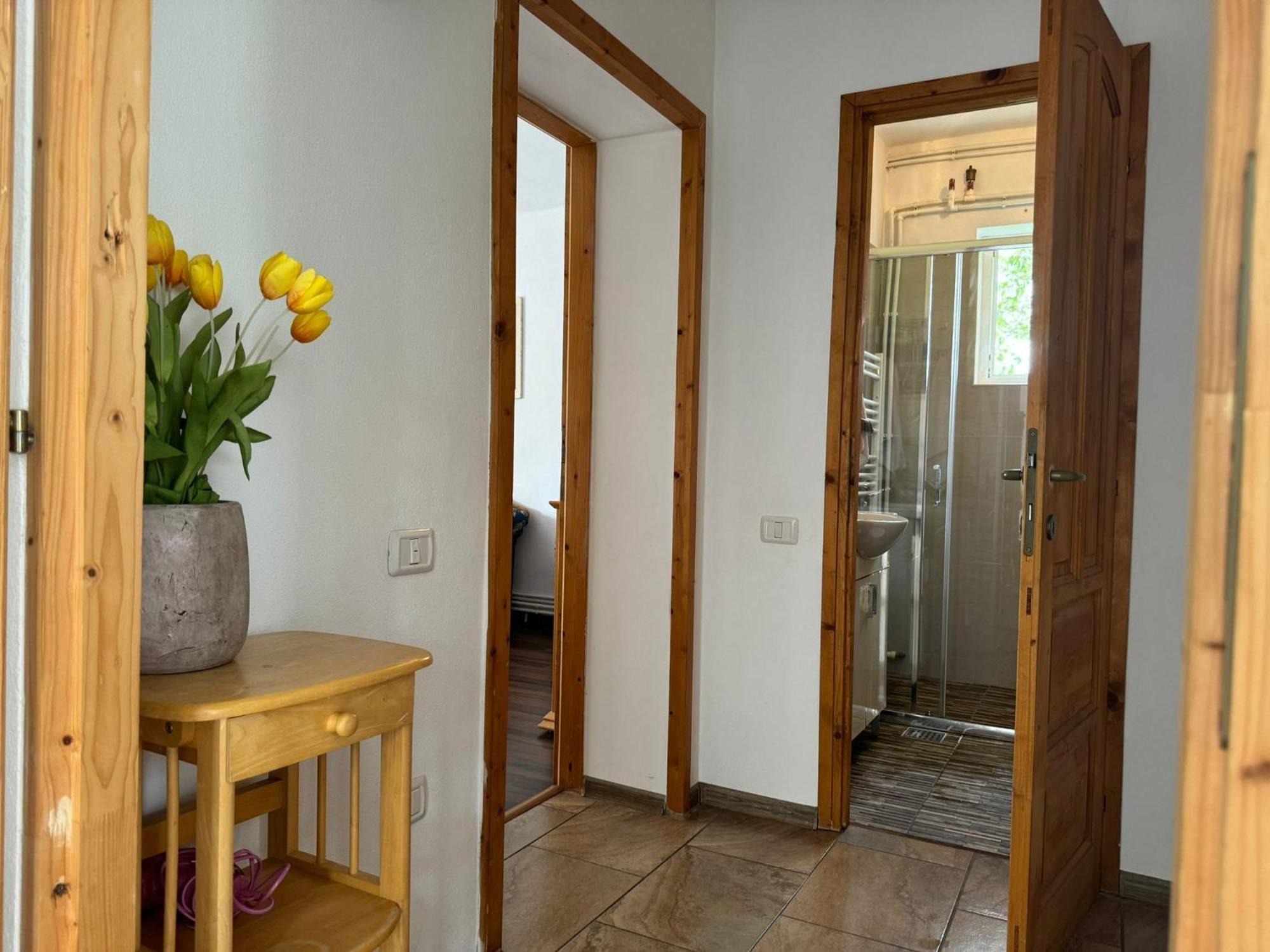 Home Tara Haţeg 外观 照片