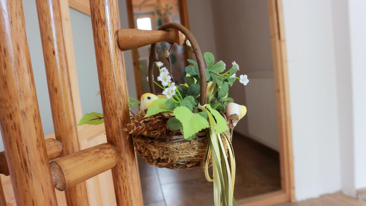 Home Tara Haţeg 外观 照片